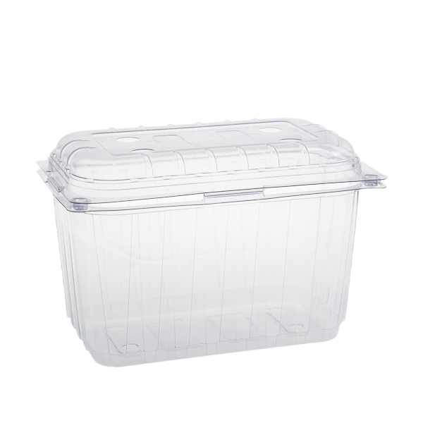 _MG_1064 Caserole 1000 cc ptr.legume-fructe cu capac atasat FT70K 1000-2 ,PET,transparent, 110X190 mm,100 buc,4 set/bax - imagine 1